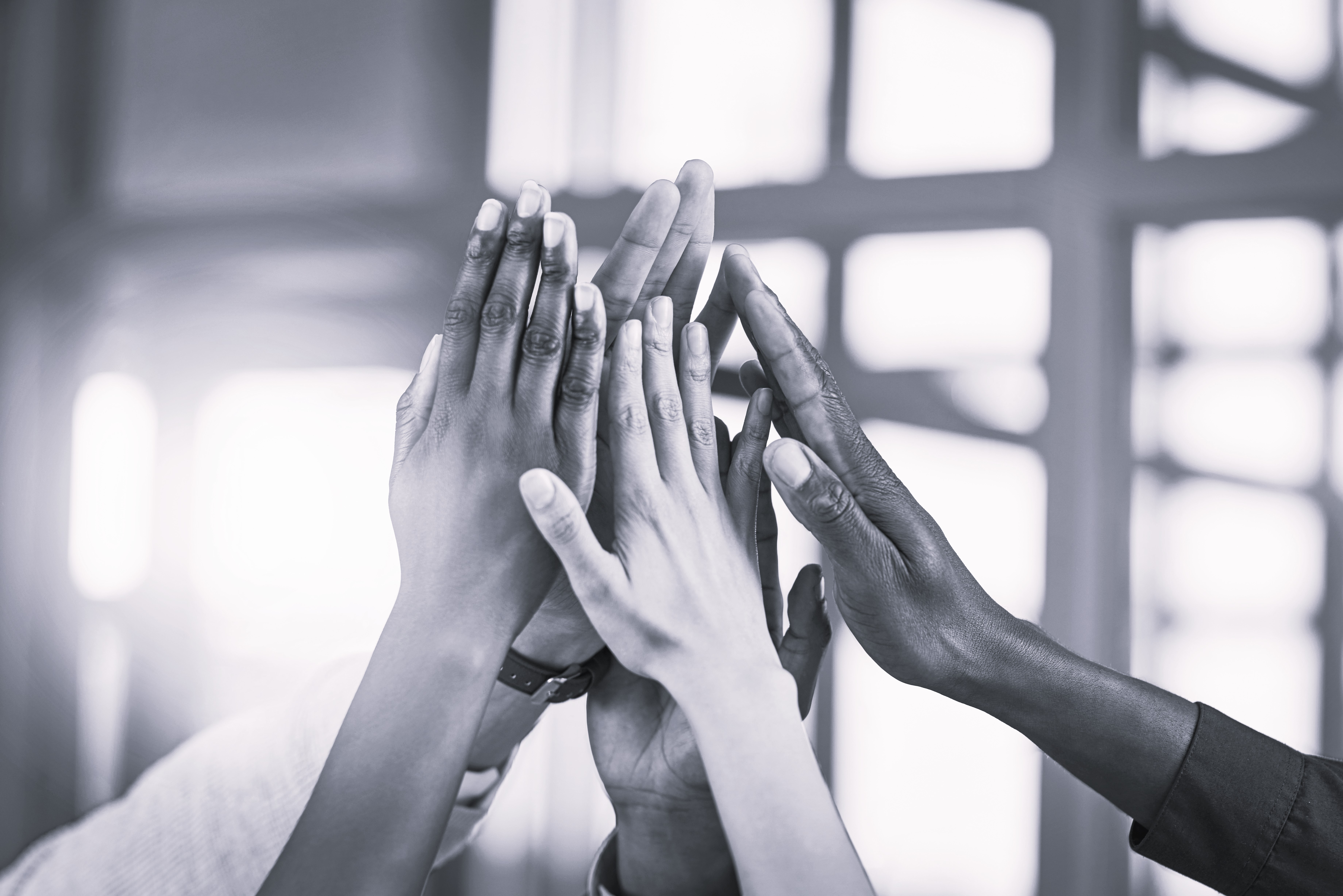 Basis for the selection of projects